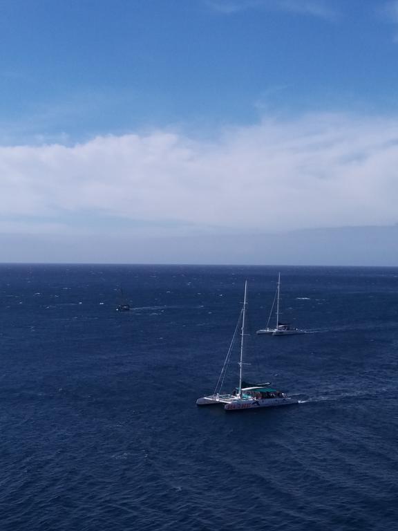 Funchal Paradise Exterior photo